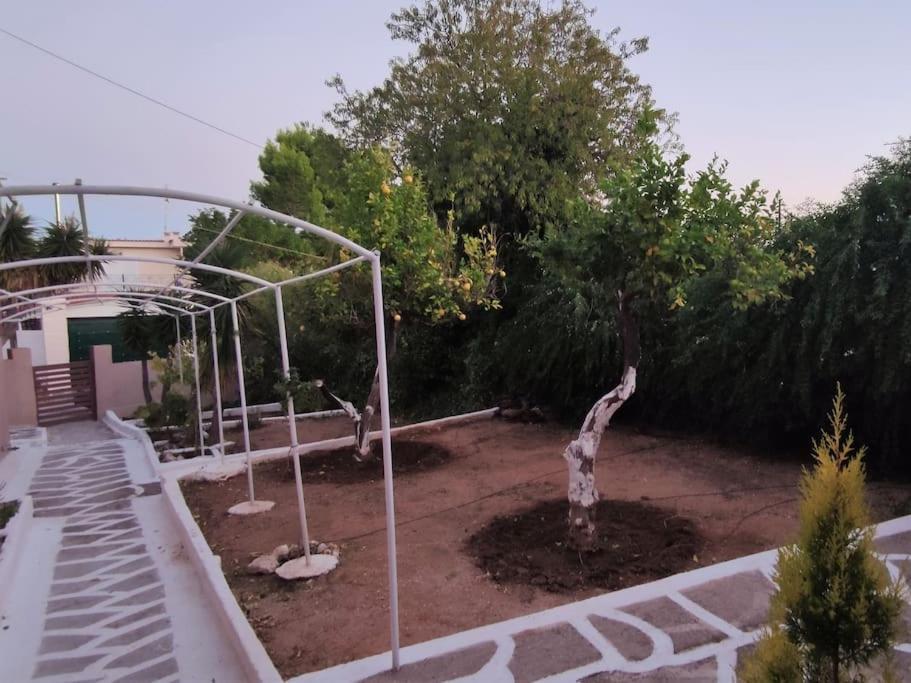 סלמיס Penthouse Studio Next To The Sea מראה חיצוני תמונה